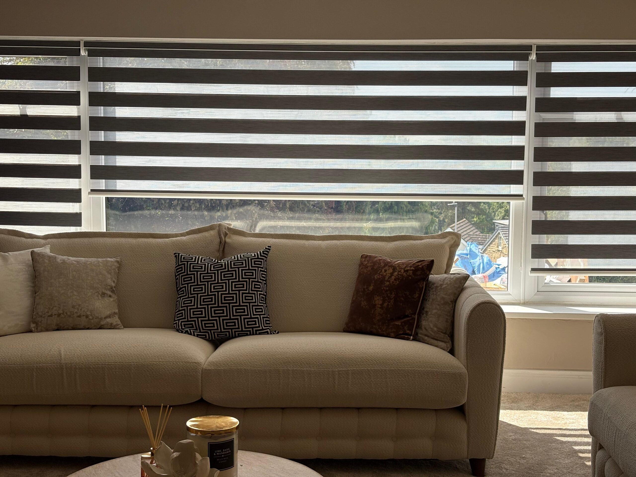 Vision Blinds